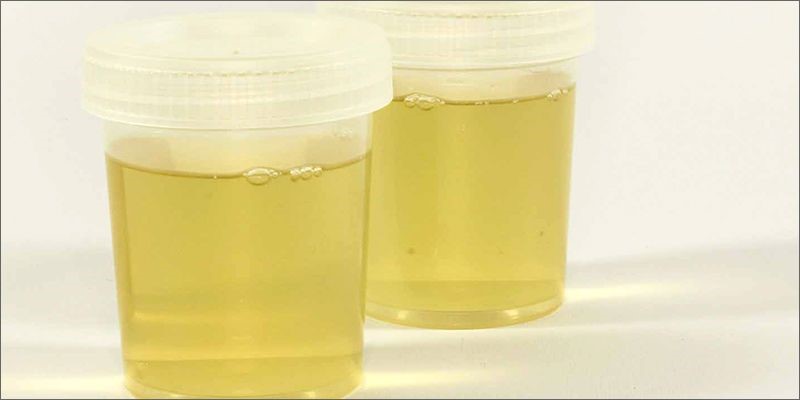Synthetic Urine Shops Newllano LA 71461
